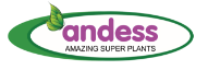 ANDESS
